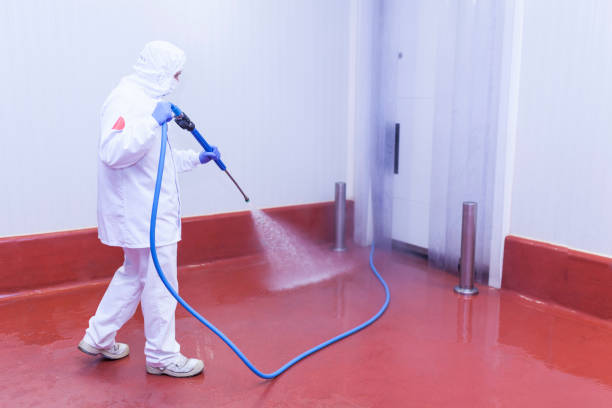 Best Pre-Holiday Cleaning  in Huntsville, TX